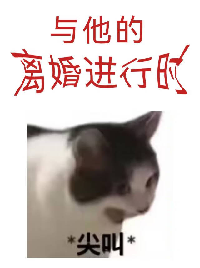 她与他的距离