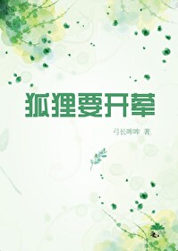 狐狸需要什么