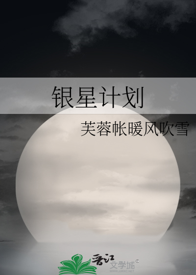 银星计划