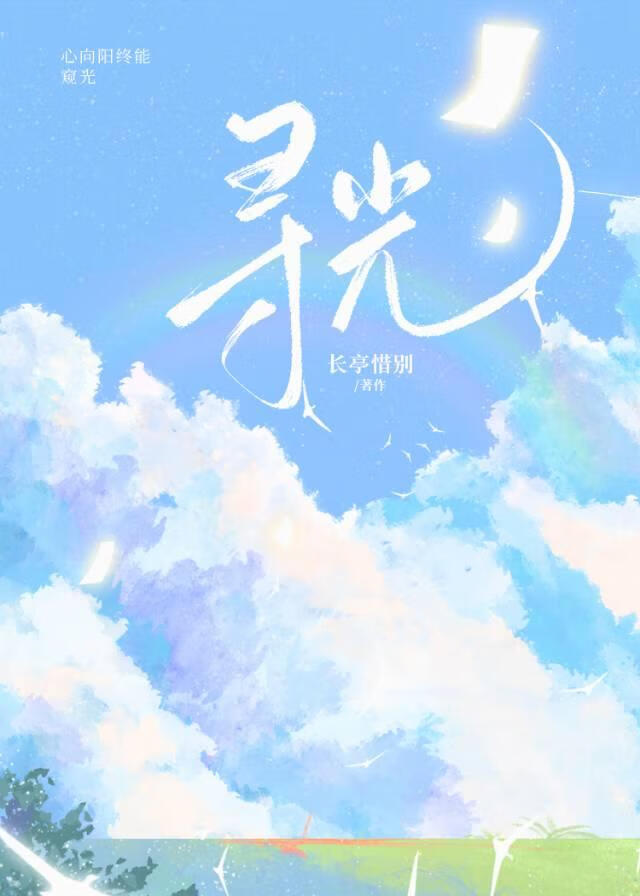 寻光