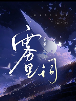 雾里词