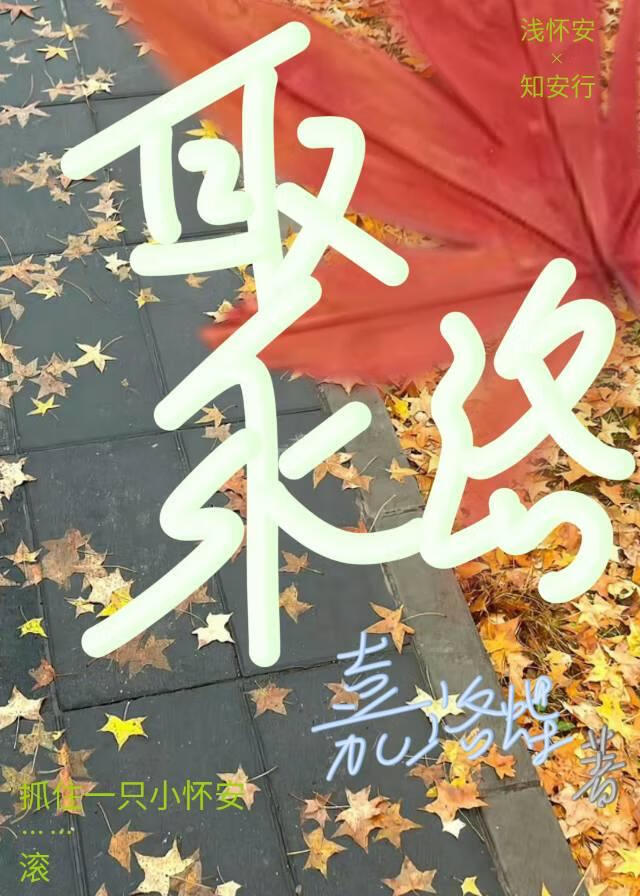 聚洛