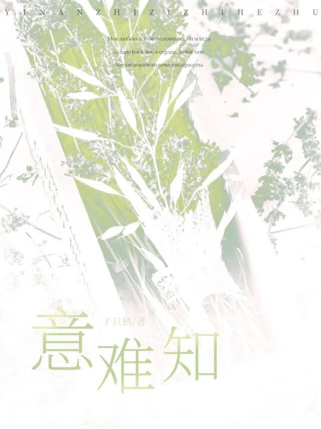 意难知