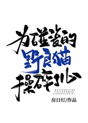 为碰瓷的野良猫操碎了心