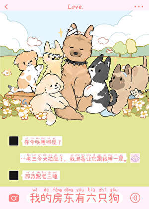 我的房东有六只狗