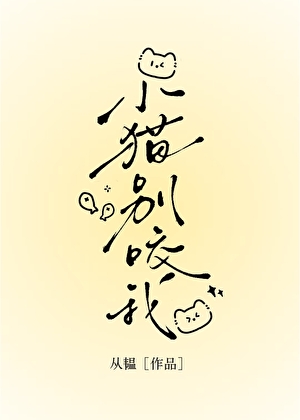 小猫别咬我