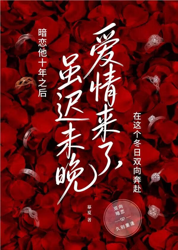 暗恋他十年之后：爱情来了 虽迟未晚