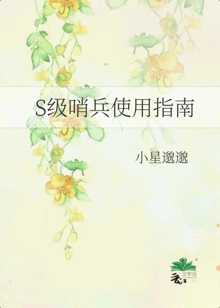 S级哨兵使用指南