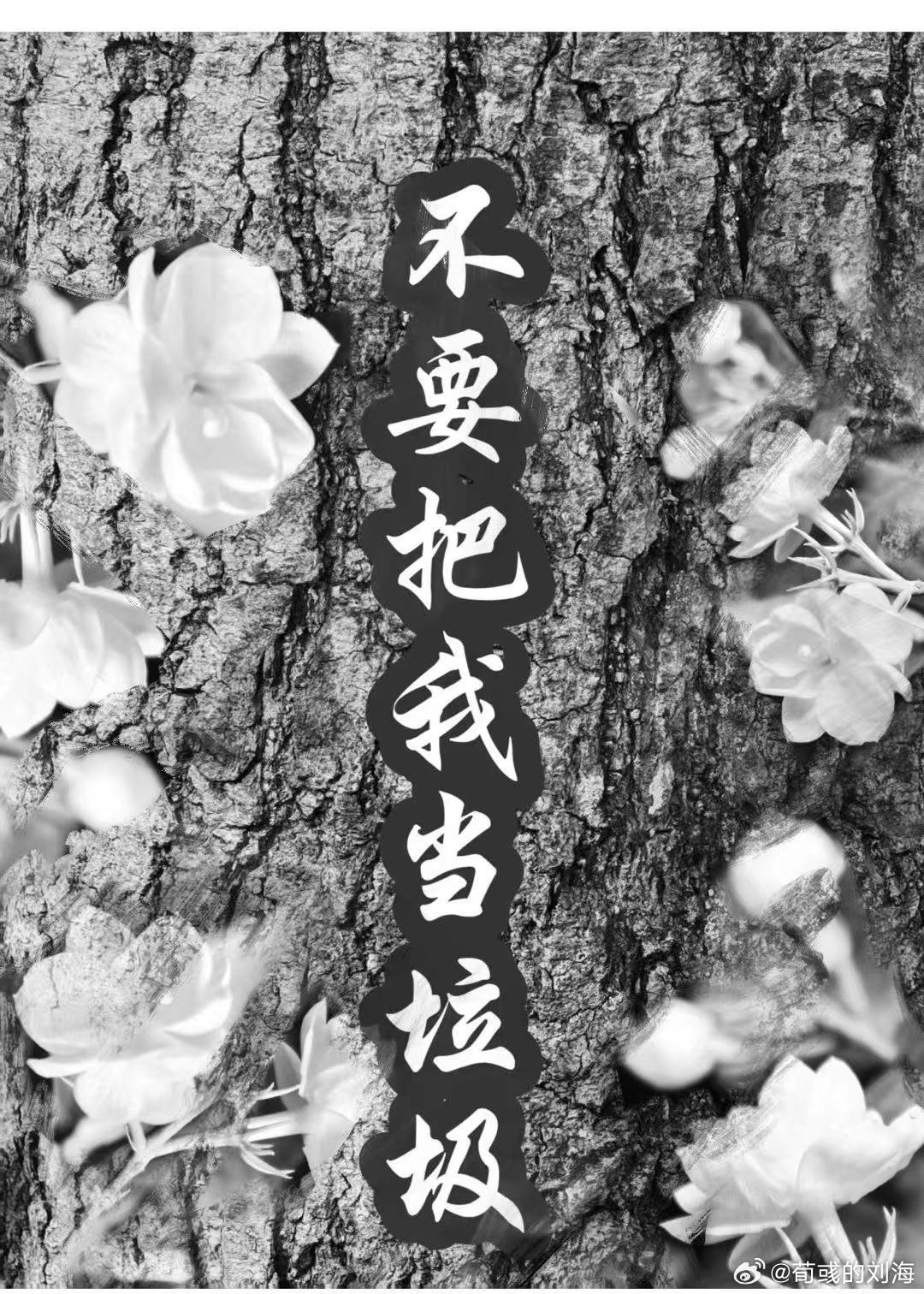 不要把我当垃圾