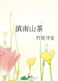 滇南山茶