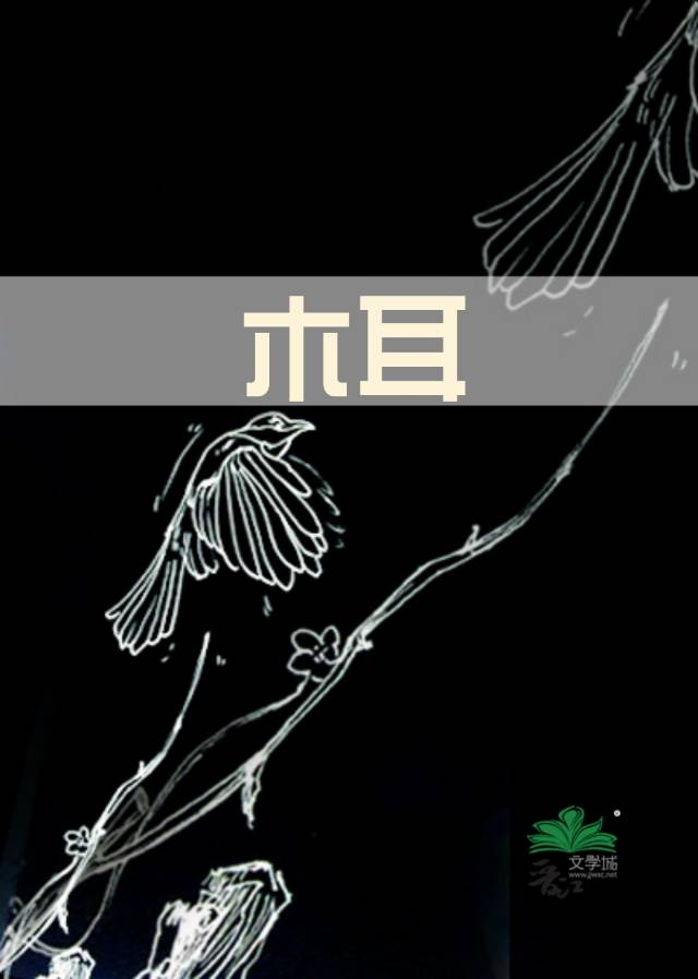 木耳