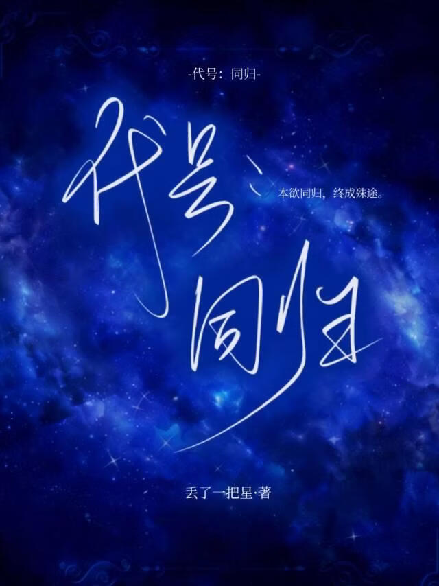 代号：同归
