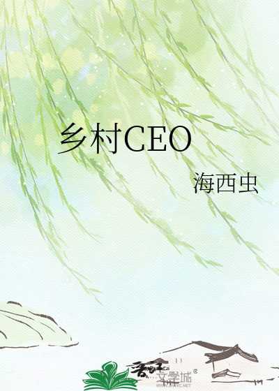 乡村CEO