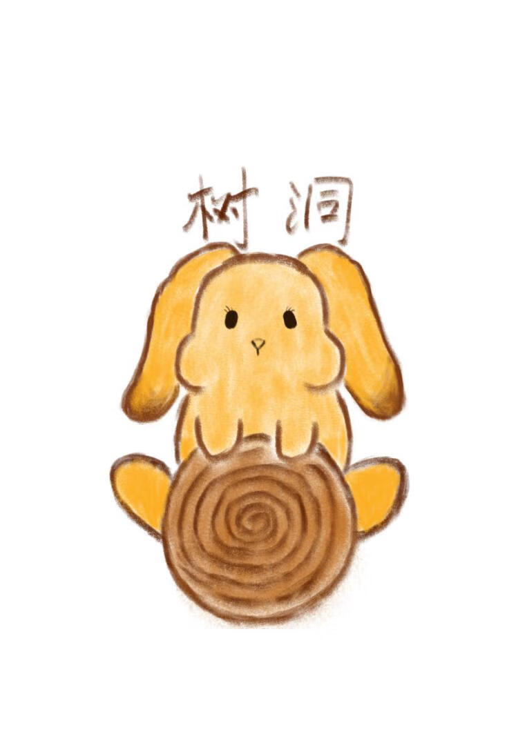 润舍树洞